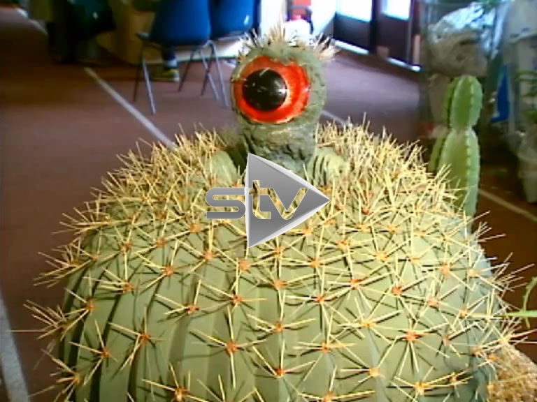 Spike the Talking Cactus